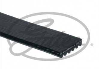 PASEK WIELOKLINOWY ALFA ROMEO GIULIA STELVIO 2.0 T (2)